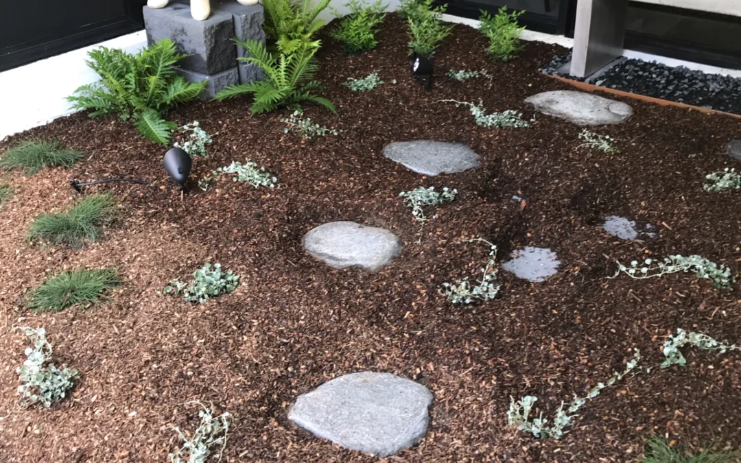 Brookwater – Small Zen garden landscape upgrade